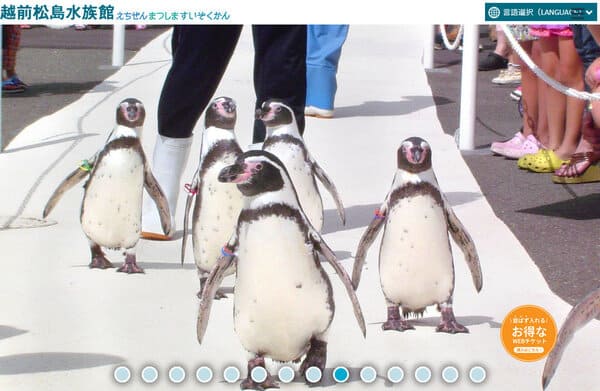 越前松島水族館